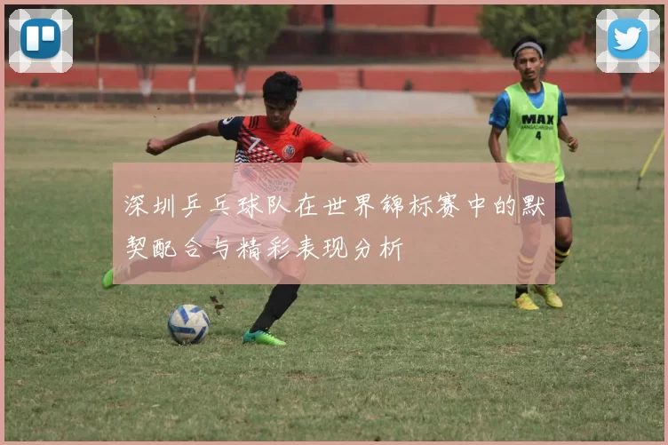 深圳乒乓球队在世界锦标赛中的默契配合与精彩表现分析