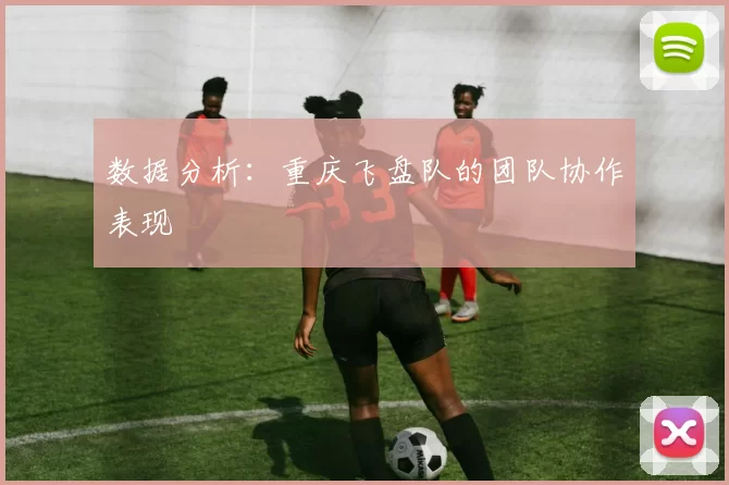数据分析：重庆飞盘队的团队协作表现