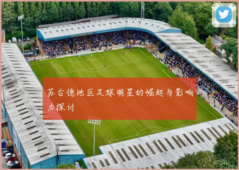 苏台德地区足球明星的崛起与影响力探讨