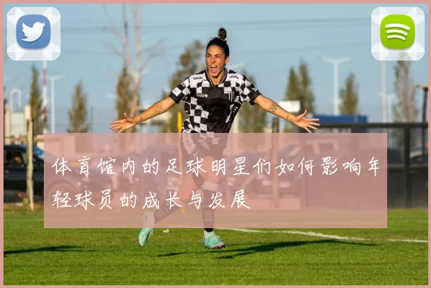 体育馆内的足球明星们如何影响年轻球员的成长与发展